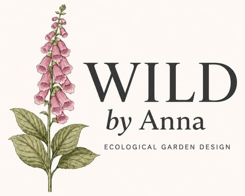 wild by anna tight crop 500w
