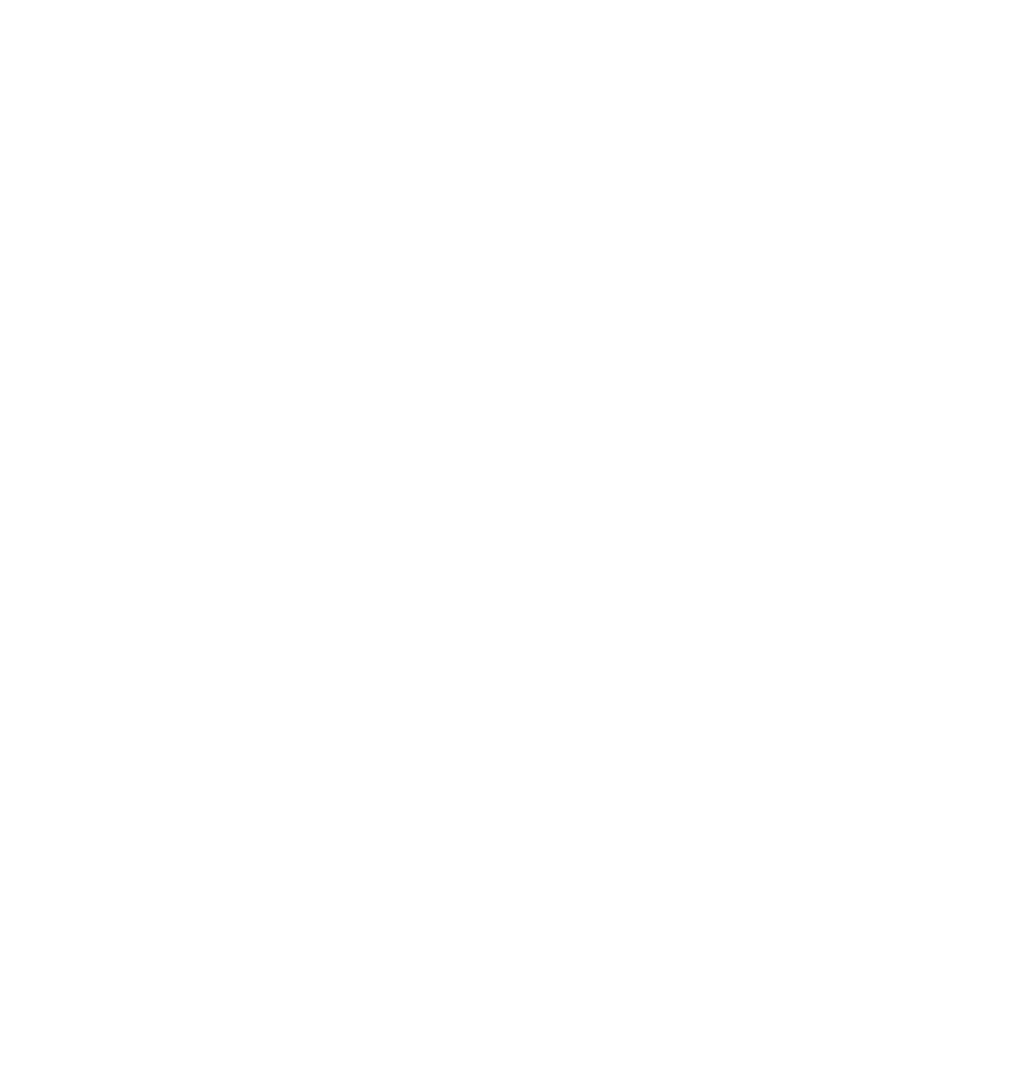 wild by anna logo upscaled white